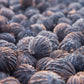 Black Walnut