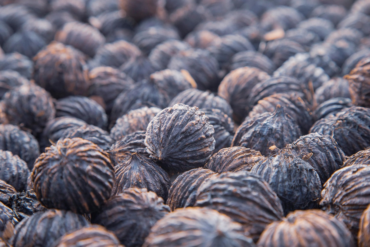 Black Walnut