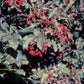 Highbush Cranberry