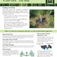 VisPore Tree Mats